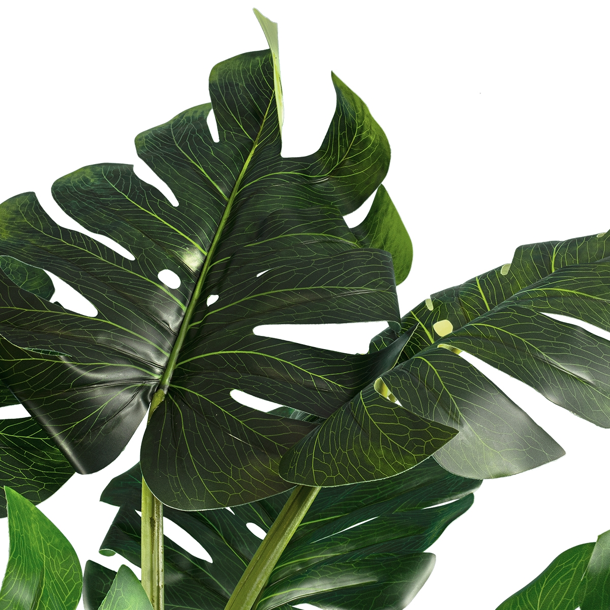 globostar-artificial-garden-monstera-20001-artificial-ornamental-plant-monstera-y85cm