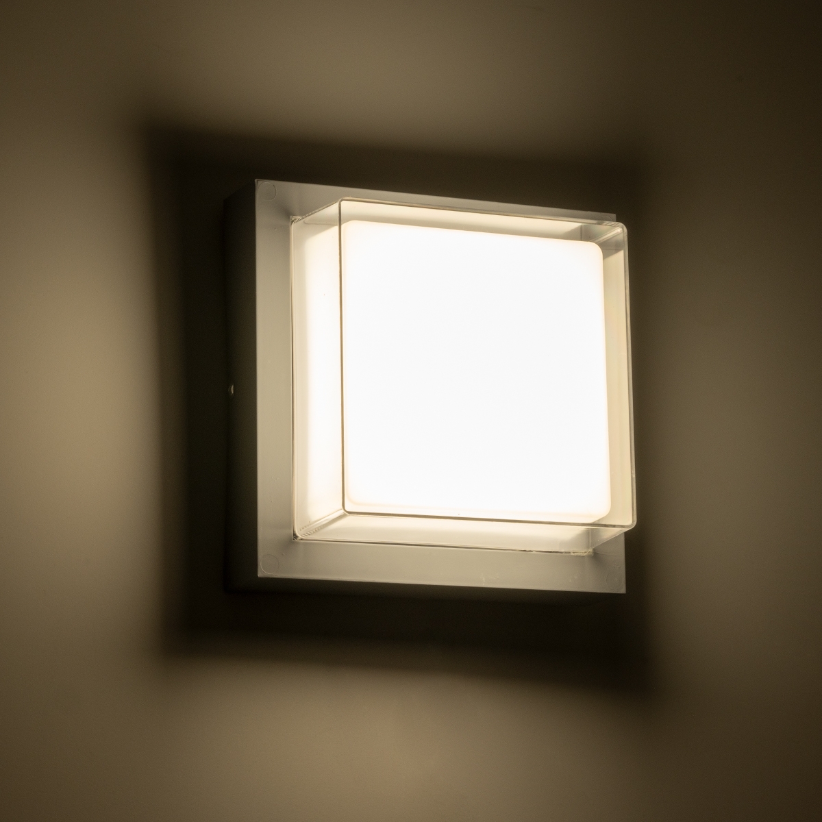 60768_7.jpg