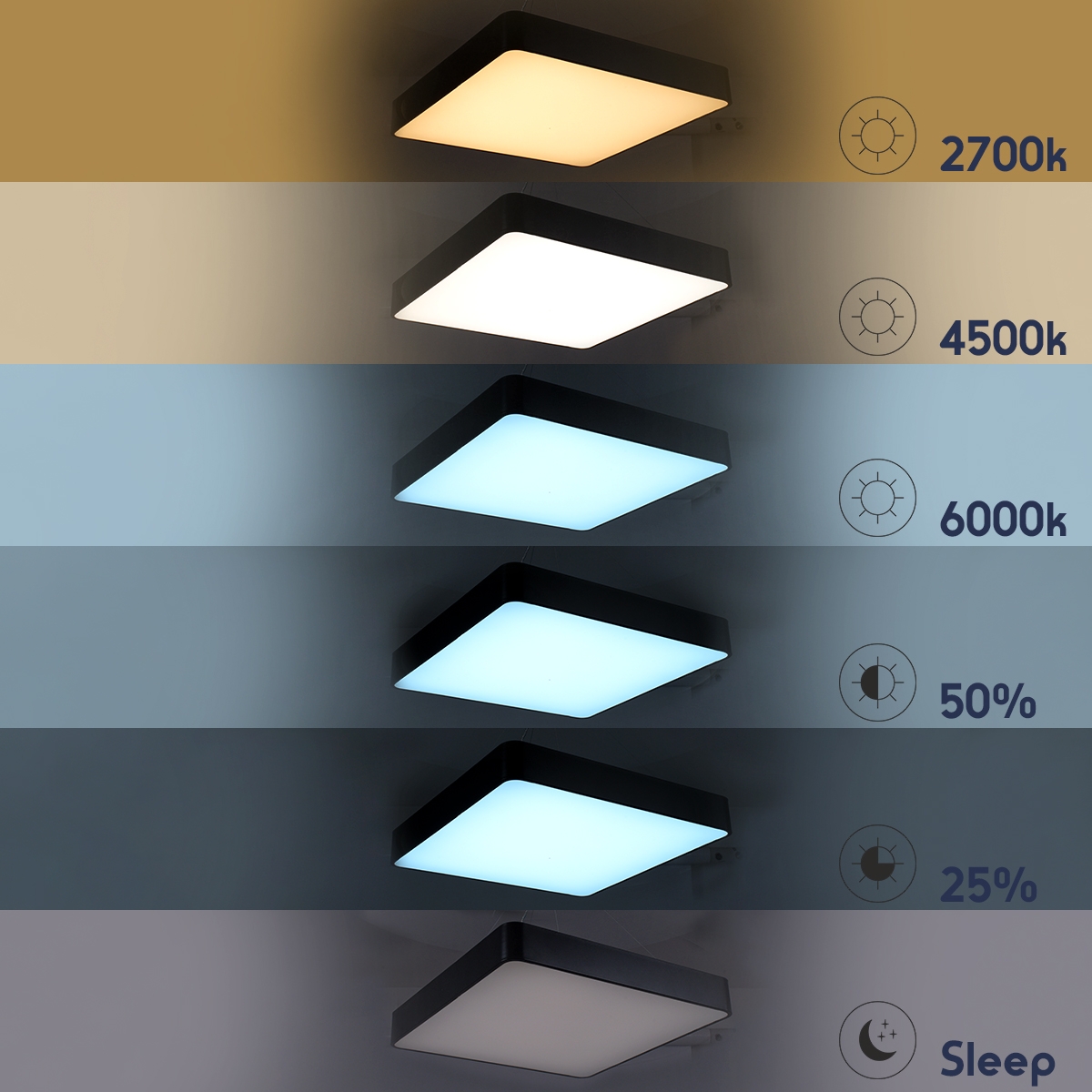 61209_ceiling_17.jpg