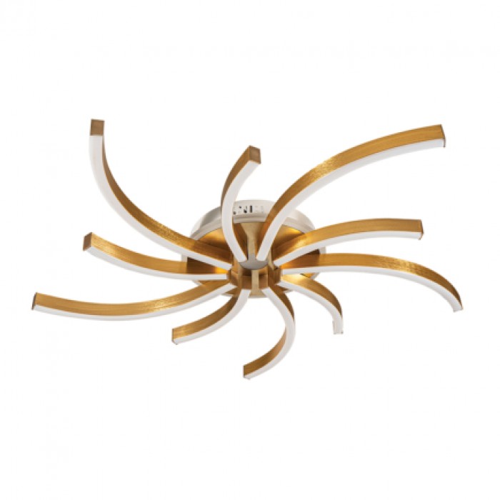 ccc-686-gd-orofis-anisopedes-aktines-5-5