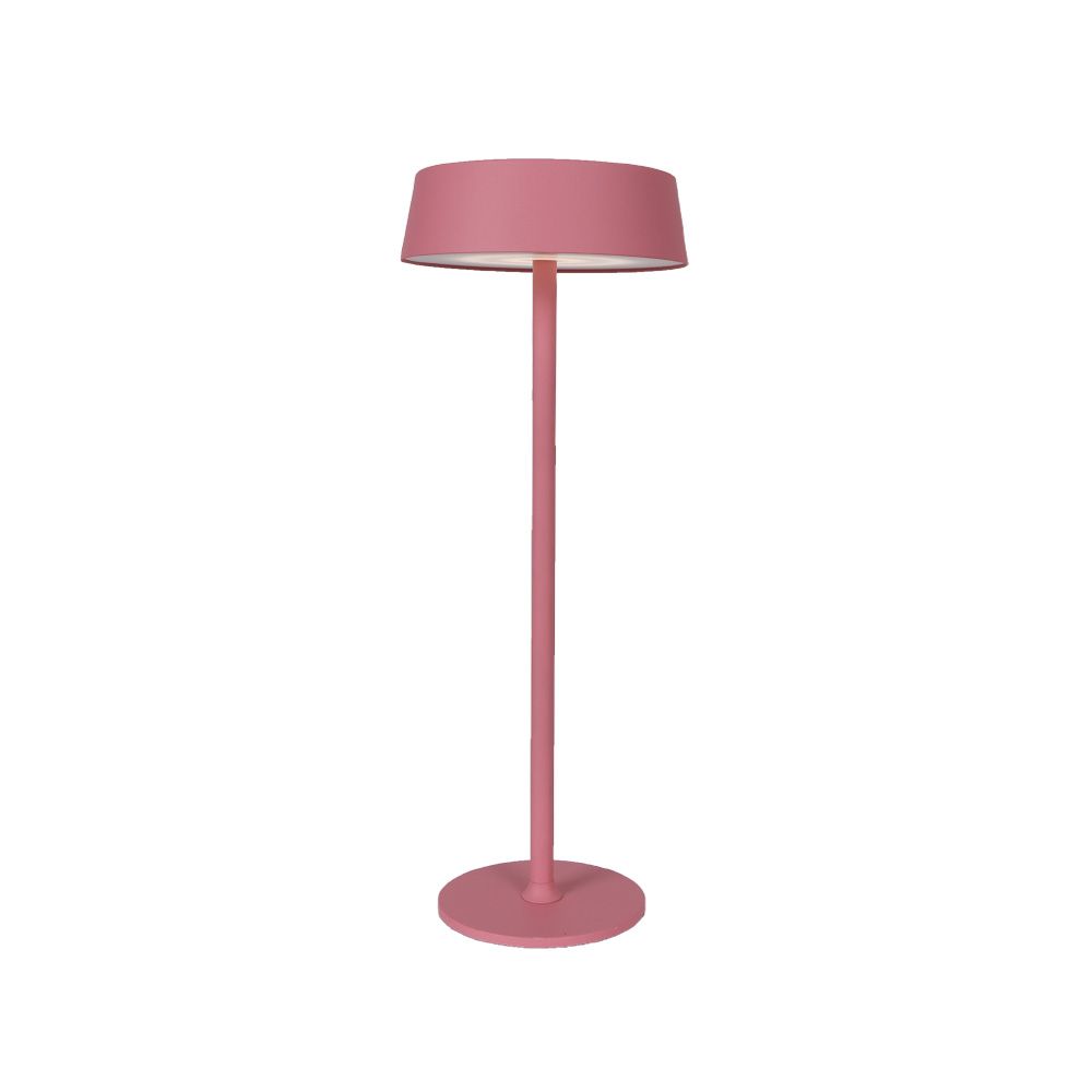 pink3030.jpeg